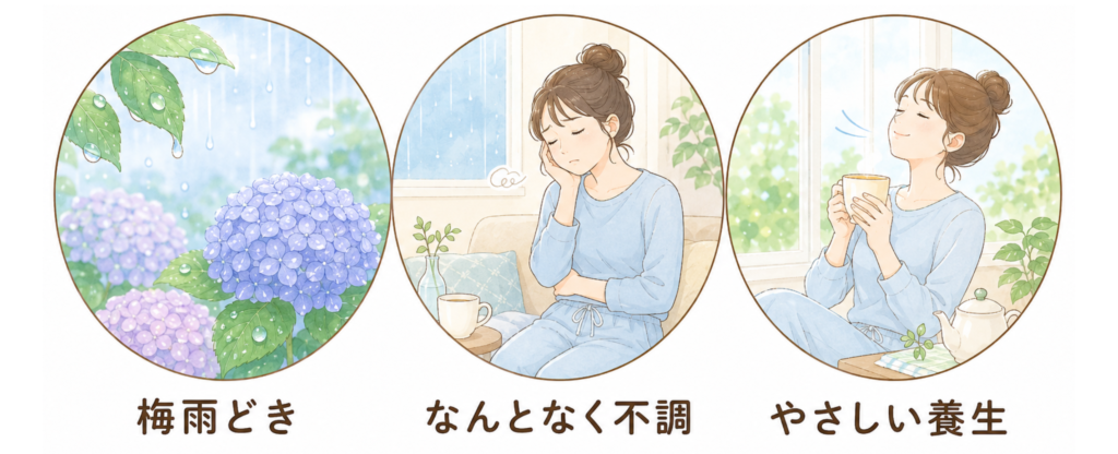梅雨どき、何となく不調ですよね。そんな時にはやさしい養生がオススメ